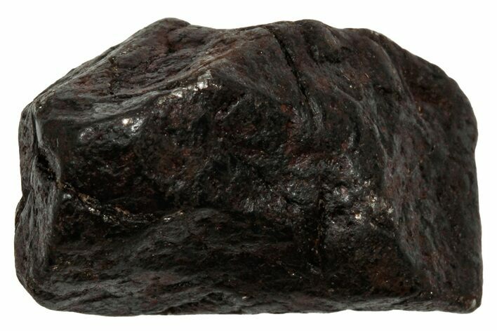 Canyon Diablo Iron Meteorite ( g) - Arizona #336002